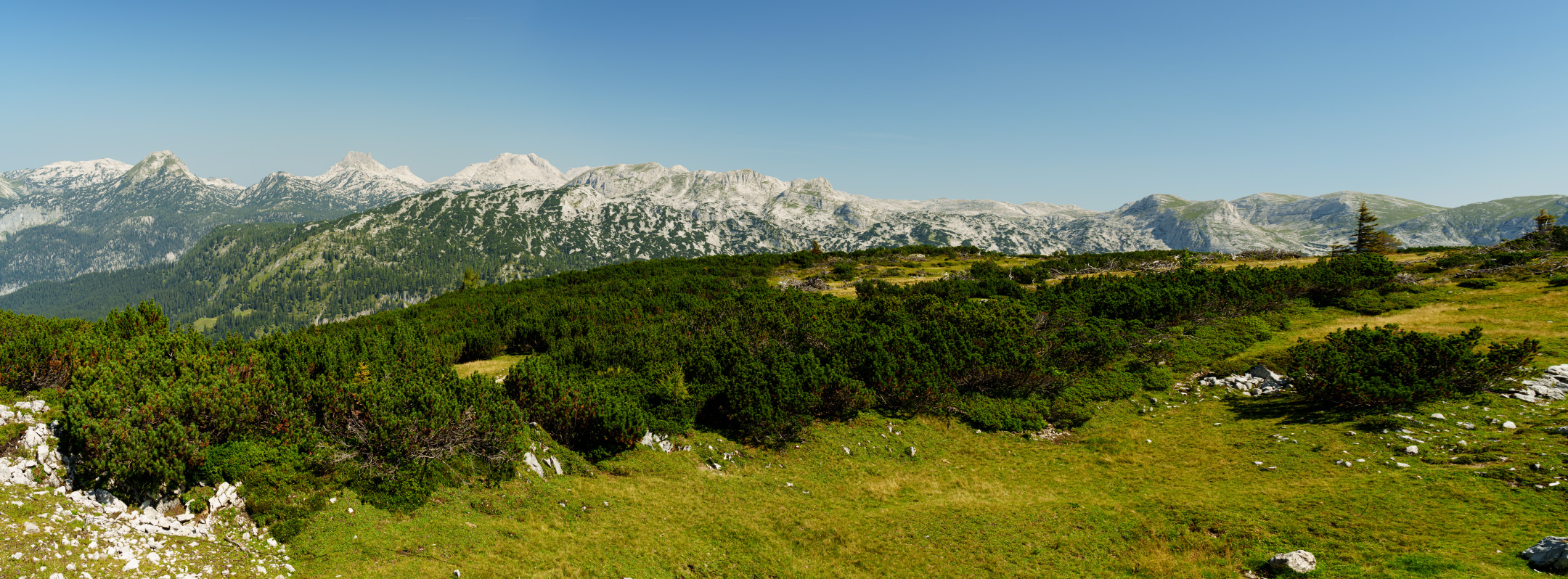 DSC01527 DSC01528 Pano