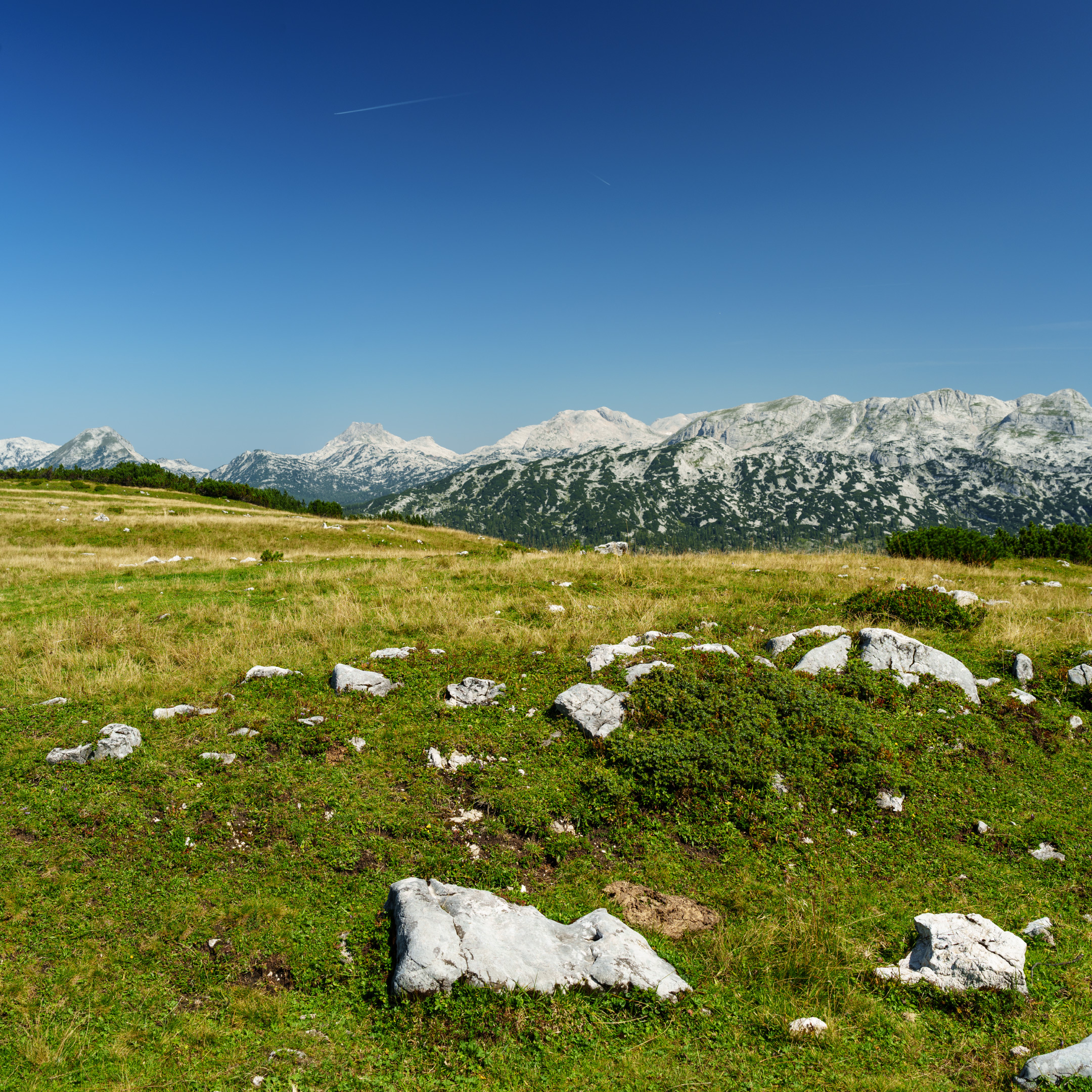 DSC01529 DSC01530 Pano