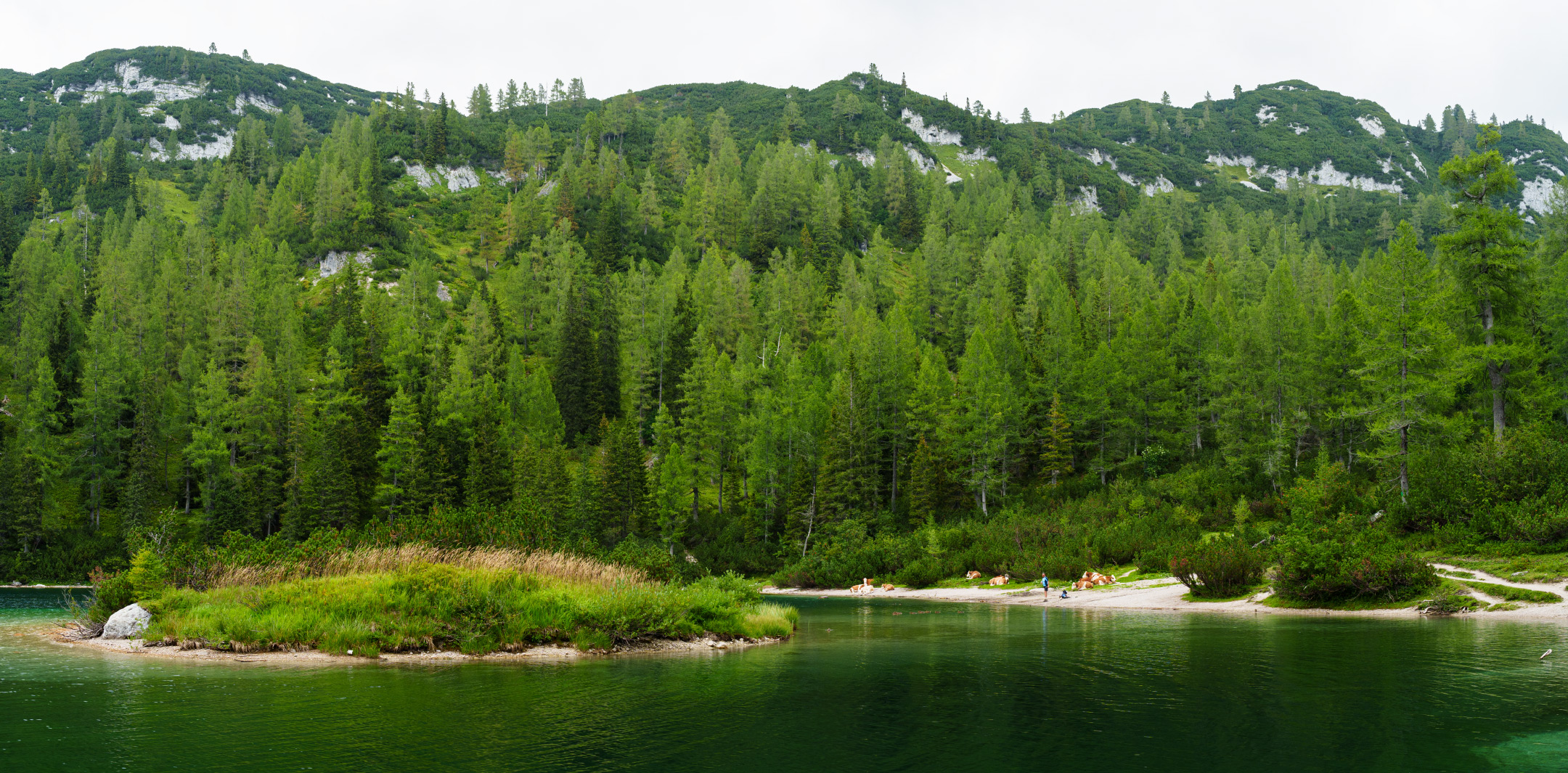 DSC01648 DSC01649 Pano